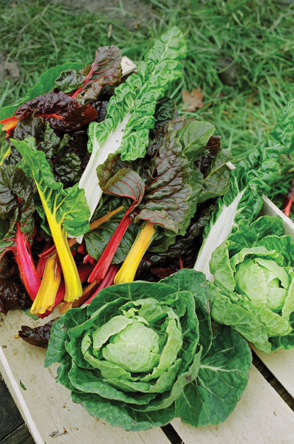 Vegetables for detox